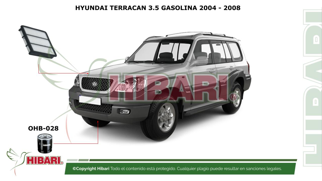 Lee más sobre el artículo HYUNDAI TERRACAN 3.5 GASOLINA 2004 – 2008